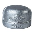 Prosource Exclusively Orgill Pipe Cap, 34 in, Threaded 18-3/4G